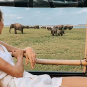 Safari Sri Lanka