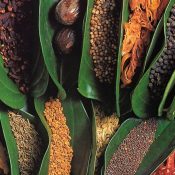 Spice Garden Sri Lanka