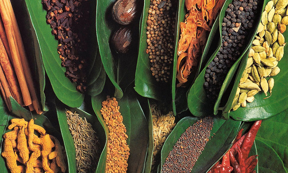 Spice Garden Sri Lanka